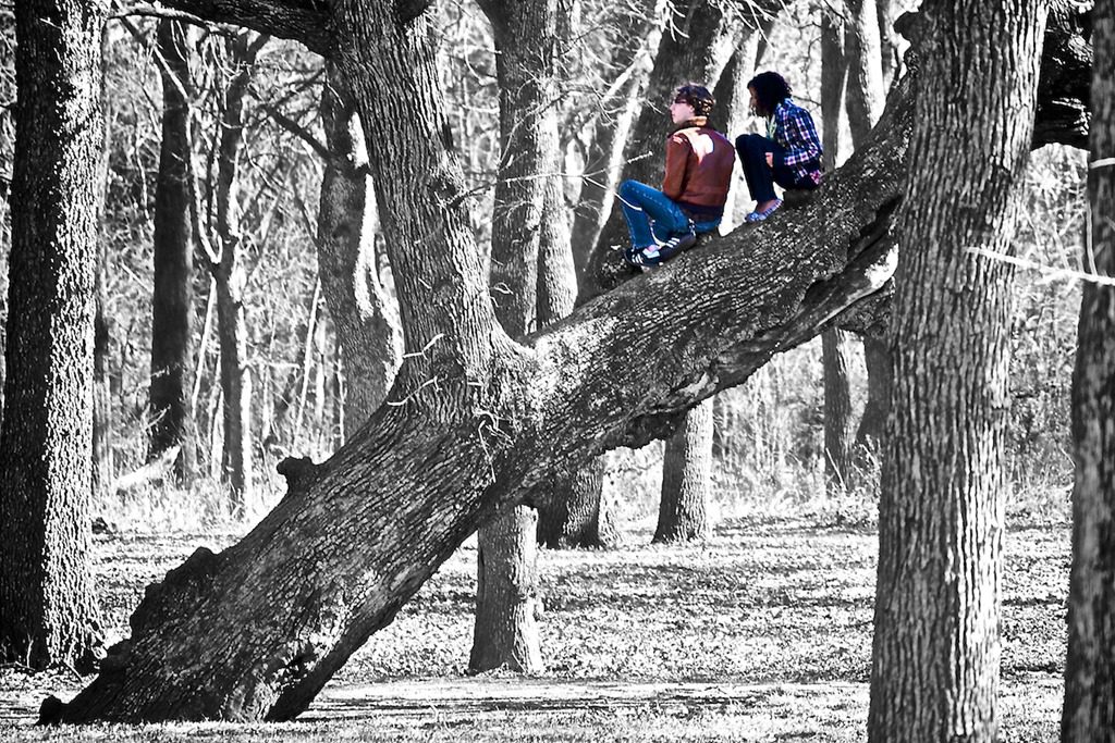 Ados sur un arbre Ados et jeux