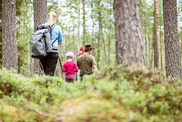 Ballade en famille dans les bois